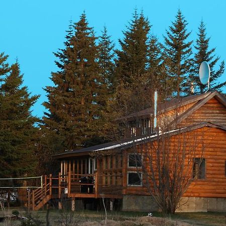 Bear Den Vacation Home Anchor Point Værelse billede