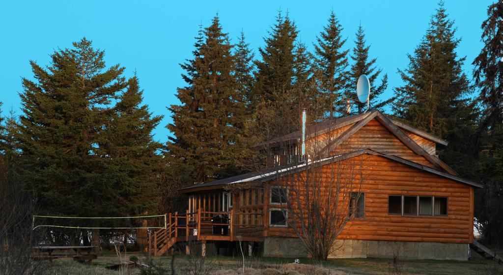Bear Den Vacation Home Anchor Point Værelse billede